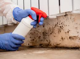 Best Attic Mold Removal  in Cumberland, IN